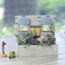 루고 인테리어 미니 다육이 화분 지중해의거리 벽돌집, 단품, 1개