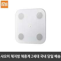 샤오미 인바디 체중계 체지방 미스케일 2세대 몸무게 스마트 가정용 전자 측정기 계산기, 샤오미 체지방 체중계 2세대 XMTZC05HM