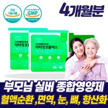 50대 60대 실버 종합 영양제 은행잎 추출물 징코 오메가3 혈액 순환제 눈 뼈 피부 항산화 건강 예방 알약 국산 혈행 혈관 70대 80대 90대 부모님 노인 노년 시니어 할머니, 실버 종합영양제 2박스_4개월+사은품