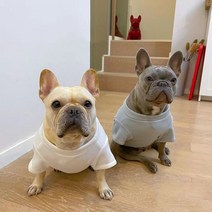 프랑스 불독 옷 까마귀 고양이 푸들 Bichon Frize 슈나우저 Pug 개 의류 티셔츠 Welsh Corgi Shiba Inu 의상 복장, 회색, 에스