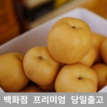 [특등급선별] 배 15kg 과일선물 크기 소과 지역 랜덤 특급 황금배 배즙 선물세트 신고 가격 국내산 배 프리미엄 백화점 남품 나주배선물세트 과일배 배선물세트 나주배 배 배가격