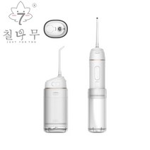 칠나무휴대용 치아 청소 물치실 가정용 스케일링기, 화이트
