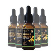 [유비바이오] 프로폴리스 팅쳐 30ml, 6