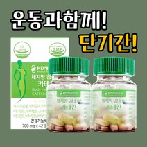 2주다이어트 보조제 카테킨 42정 14일분 2개