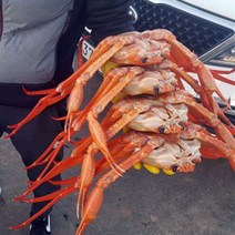 구룡포 연지 홍게 박달 홍게 1.2kg~5kg 포항 연지홍게 포항 박달홍게 자숙홍게 포항 홍게 구룡포 홍게 찜 라면용 홍게 택배, 5kg A급