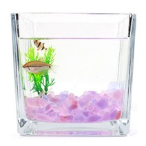핑크 퍼플 컬러 돌 유리 자갈 250g 어항 꾸미기 구피, 라이프앤11 믹스퍼플돌