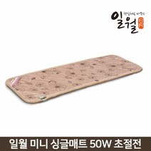 2021 일월 초절전 미니싱글매트 전기방석 전기장판
