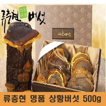 국산 상황 버섯 명품 상황버섯균사체 베타글루칸 뽕나무 목질진흙버섯 종류 상황버섯차 먹는방법 끓이는법 선물세트 효능 추천, 500g, 1개