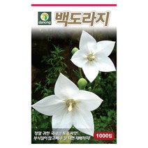 다농 백도라지씨앗 1000립 국내산 토종씨앗 흰도라지씨앗, 1개
