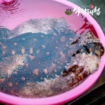 식탐대첩 해녀가 잡은 자연산 해삼 1kg (18-23미), 단품