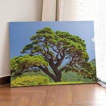 아트박스/꾸밈 ga688-캔버스액자72.7x53_풍수건강을가져다주는소나무
