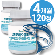 식약청 프로테오글리칸 연어코연골 추출물 2x 분말 비변성 2형 캡슐 관절 콘드로이친 글루타치온 글루코사미노글리칸 콜라겐 울트라 정 msm 알약외 정품 식약청인증 + 종근당 사은품, 2통_4개월, 2개
