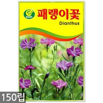강낭콩 2g - 콩 씨 씨앗 강낭콩씨앗 강남콩씨앗 강낭콩씨, 21_청농_패랭이꽃(150립)