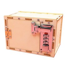 DIY 어린이 장난감 암호화 상자 재미있는 과학 발명품 교육 키트 줄기 프로젝트, [01] Wood