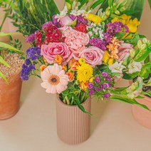 농사지음 매일 마주하는 소소한 행복 생화 랜덤세트 시크니처 플라워 생화세트, 안개꽃 반단