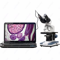 브이로그카메라 풀프레임 미러리스 디지털 카메라 쌍안 복합 현미경--amscope 공급 40x-2500x led 쌍안 복합 현미경 w 3d 스테이지 + 5mp usb, 없음