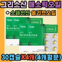키오스섬 매스틱 올리브 오일 밀납 양배추 농축분말 그리스 천연수지 매스틱나무 식이섬유 나이아신 라이신 베타카로틴 비타민C 칼륨 실버 노인 여성 남성 직장인 청소년 학생