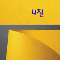 두성 디자이너스지 4절지 낱장판매, N59