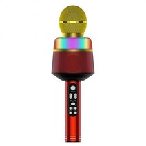 블루투스 마이크 휴대용 노래방 2 인 1 무선 LED 조명 가라오케 기계 스피커, 04 Red