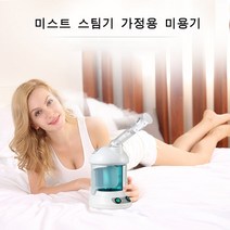 열온스팀기 가정용 고압 분무화 보습 스프레이 수분분사기, 화이트