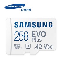 블랙박스 지넷시스템 GPRO300 메모리 256GB 삼성정품, 선택하세요, Evoplus256GB[SD어댑터포함]