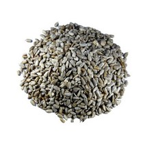IF1 솔비톨1kg
