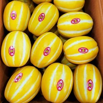 성주 꿀참외 프리미엄 참외 5kg, 4.참외 가정용 5kg 대과