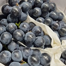 산지직송 고당도 캠벨 포도, 2kg(4~10송이), 1개