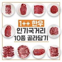 1++등급 한우 국거리 불고기 육회 다짐육 홍두께 꾸리살 설깃살 치마양지 사태 우둔살 보섭살 전각살 10종, 1++한우 보섭, 600g