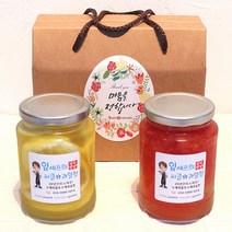 임셰프 수제청 선물세트 500ml, 배도라지청+자몽청