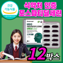 인지력 기억력 개선 도움 고함량 하이큐 포스파티딜세린 PS 피에스 플라보놀배당체 징코 혈행 개선 도움 식약처 인증 식약청 인정 두뇌 건강 기능식품 코어스톡케이스, 12박스