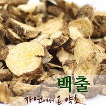 백출 중국산 600g