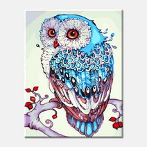 (국내배송/오늘출발) 모모픽스페인팅 파란 부엉이 G10 40x50cm DIY명화그리기