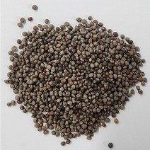 수입 길림들깨 6kg 추가200g증정 특A/2022년 햇들깨 중국산 들깨/수입들깨