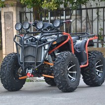 4륜오토바이 쿼드 가솔린 오토바이 ATV 4 륜 쿼드 바이크 4WD 250cc 300cc, 01.빅불 AT