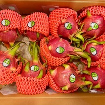 용과 프리미엄 열대과일 숲속의버터 백용과 드래곤후르츠 베트남산, 5kg(8~12개입)