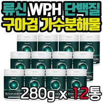 대용량 류신 WPH WPC BACC 완두단백분말 식물성 단백질 가루 분말 로이신 구아검가수분해물 노인 시니어 아미노산 건강디저트 남자 여자 남성 여성 간편 식사 대용 쉐이크 선물