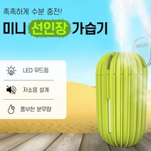 저소음 탁상용 선인장 무드등가습기 가습기추천 미니가습기 자취인테리어, 네오투엠 838선인장가습기 화이트