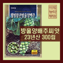 방울 양배추 씨앗 300립- 23년생산 미니 방울 양배추, 1개