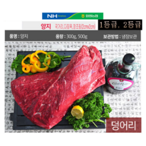 농협안심한우 양지모음, 1팩, 500g 덩어리(1등급)