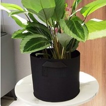 플랜트박스 부직포 화초 농작물 그로우백 화분 블랙, ★필수선택★