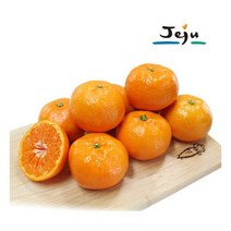 [제주명품] 제주 굿모닝 알뜰 밀감귤 5kg-M (47-60과)