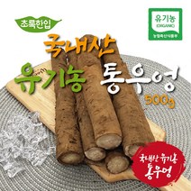[초록한입] 유기농 우엉 200g, 1개