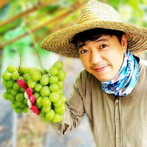 프리미엄 고당도 샤인머스켓, 1개