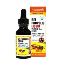 캐나다 프로폴리스 리퀴드 30ml 구강건강 플라보노이드 프로폴리스액상 효능 항산화 목건강관리