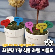 화분픽 T형 식물 라벨 이름표 중 100P 화분네임택 식물이름표 꽃팻말 식물라벨 화분팻말