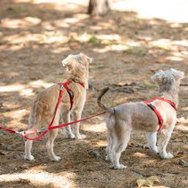 플레이바우 H489 강아지 트윈줄, 핑크