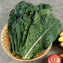 복천 케일 1kg, 단품