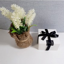 차량 선물세트 +20ml 리필액 마미하우스, 01_블랙체리향