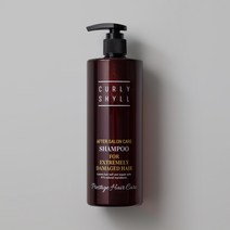 [공식판매처] 커리쉴 에프터 살롱 케어 샴푸 (극손상) 500g, 에프터 살롱 케어 샴푸 500g, 1개